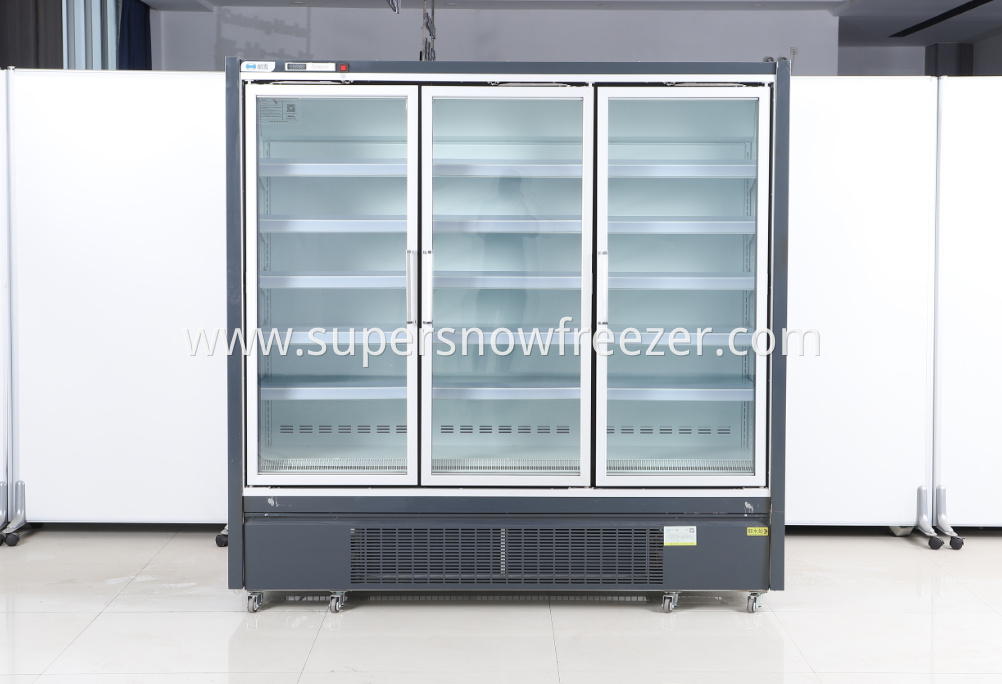 glass door freezer2. png